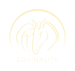 Equinality Logo hell