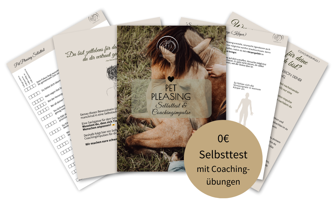 0E-Selbsttest-mit-Coaching-uebungen-2-e1737126394834.png 0E-Selbsttest-mit-Coaching-uebungen-2-e1737126394834.png